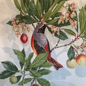 NWOT Pottery Barn Shower Curtain With Birds